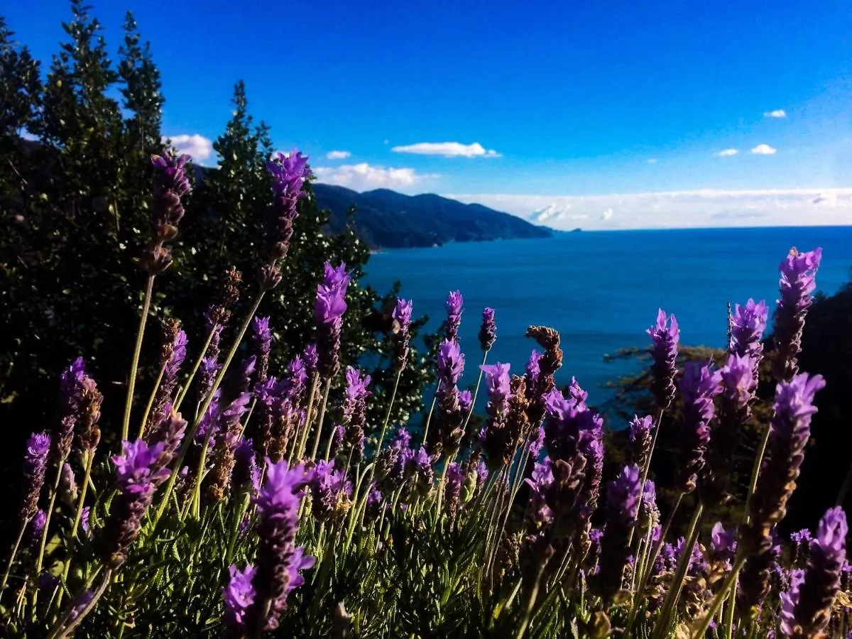 Albergo Suisse Bellevue Monterosso al Mare Hotel