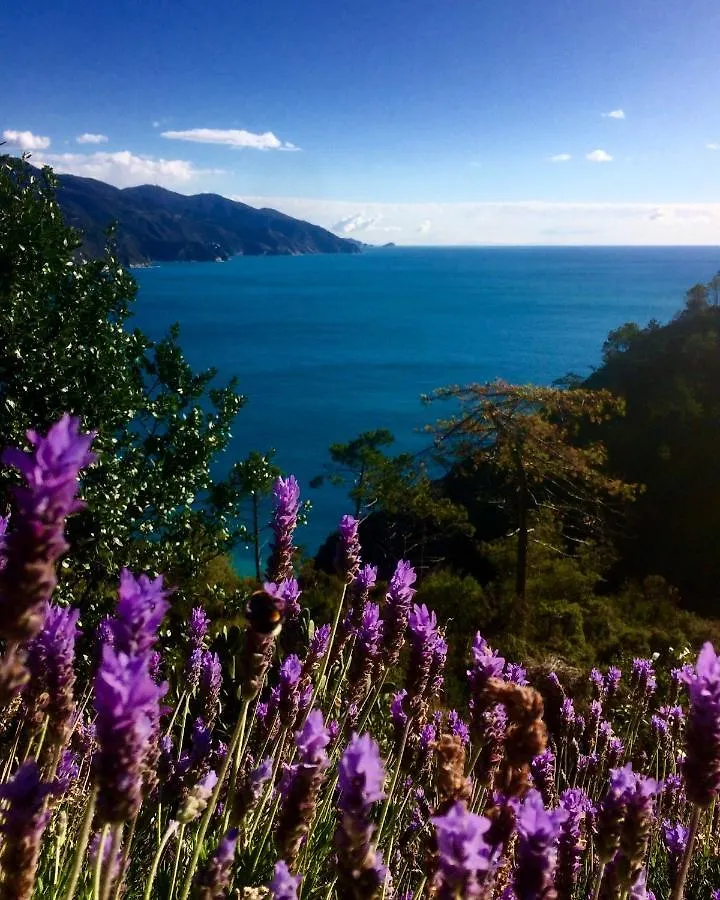 Hotel Albergo Suisse Bellevue Monterosso al Mare